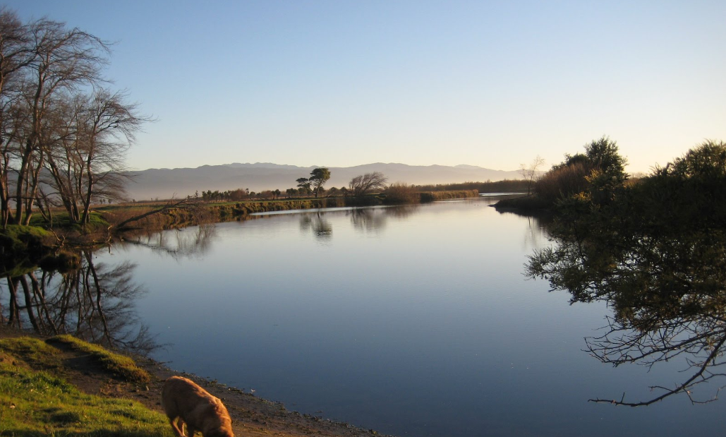 Boggy Pond, Wairio